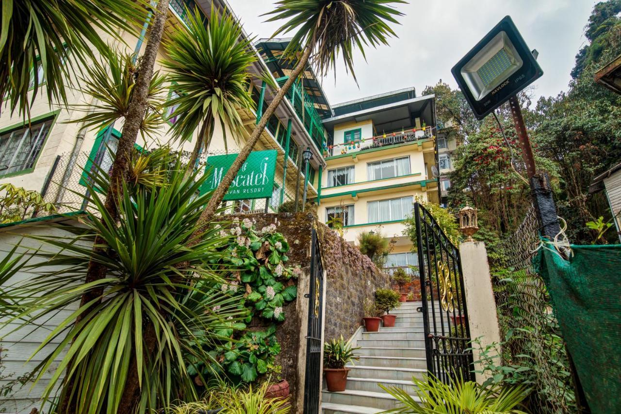 Muscatel Himalayan Resort - 400 Mts From Mall Road 다르질링 외부 사진